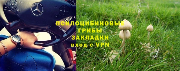 mix Арсеньев