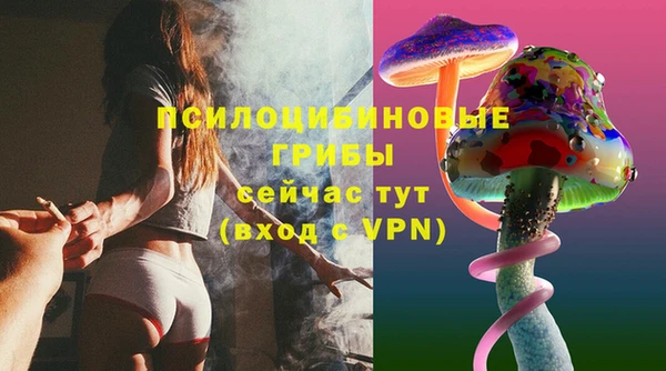 mix Арсеньев