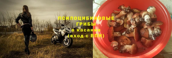 амф Алексеевка