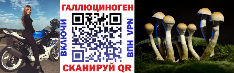 закладки  Салехард  Галлюциногенные грибы ЛСД 